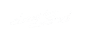 bb-logo-white-800px-footer