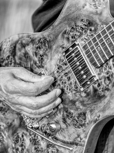 bb-guitar-bw